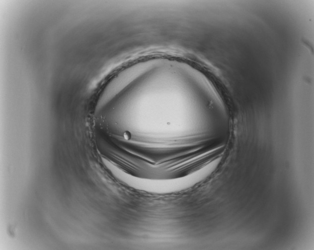 X0000102531496200808291808