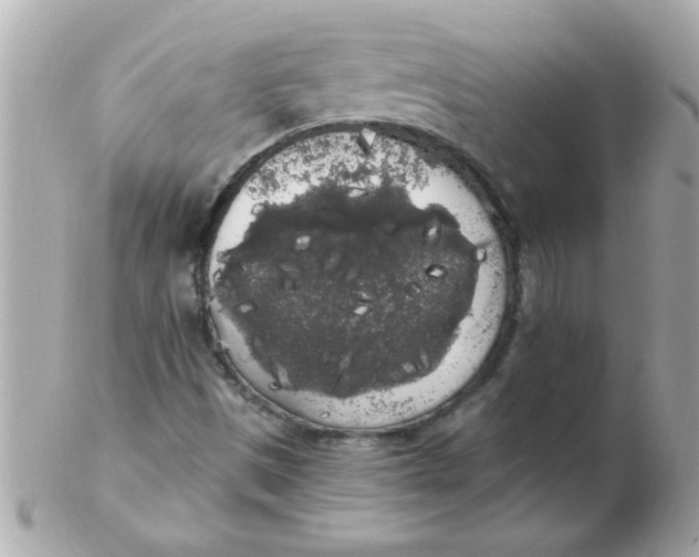 X0000102531497200808291808