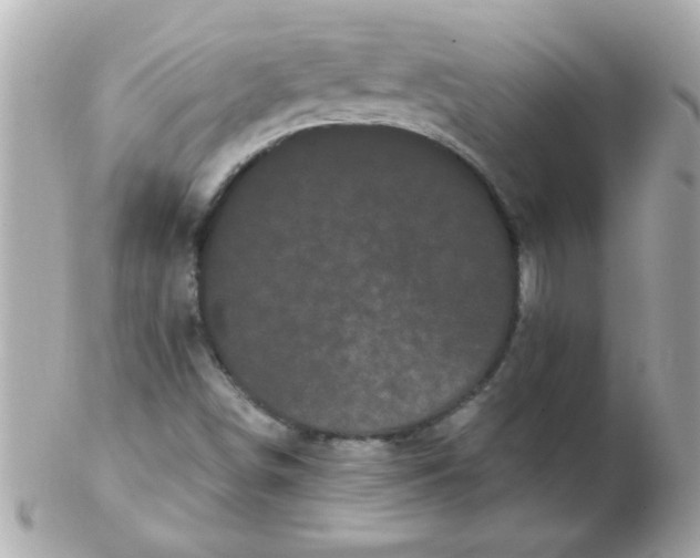 X0000102531498200808291808