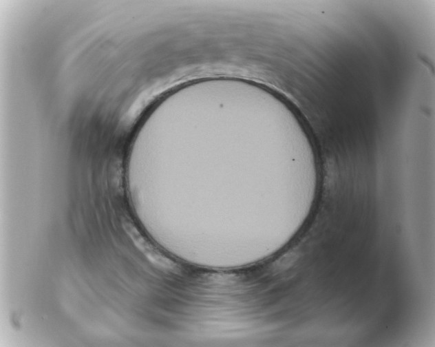 X0000102531499200808291808