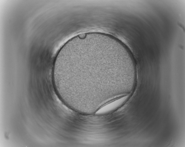 X0000102531500200808291808