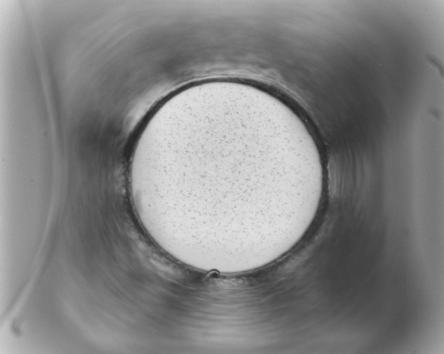 X0000102531501200808291808