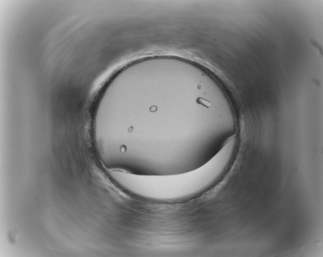 X0000102531502200808291808