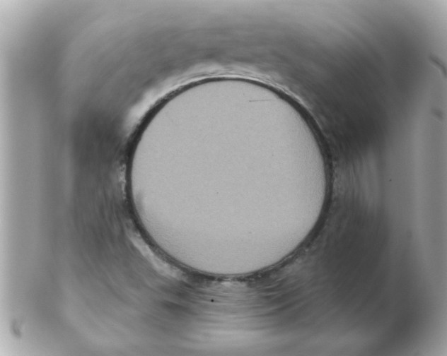 X0000102531503200808291808