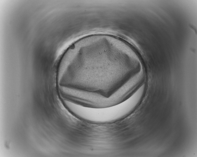 X0000102531504200808291808