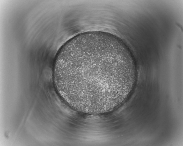 X0000102531505200808291808