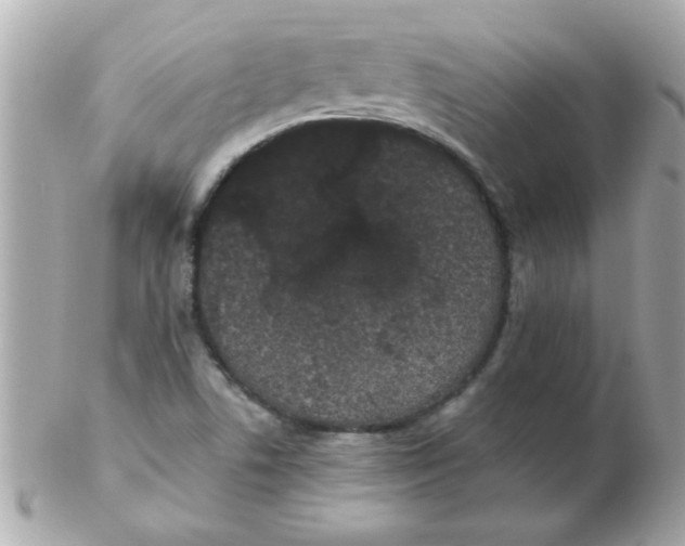 X0000102531506200808291808