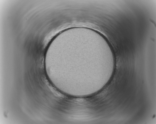 X0000102531507200808291808