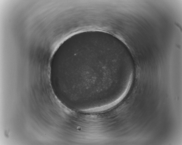 X0000102531508200808291808