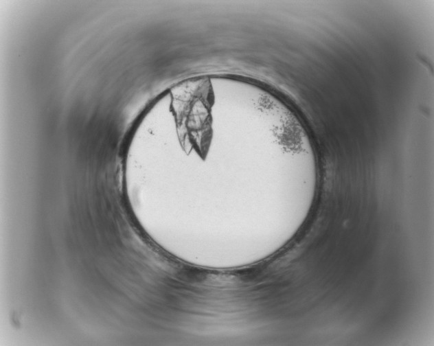 X0000102531509200808291808