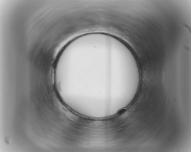 X0000102531510200808291808