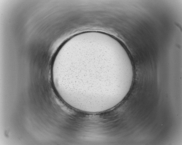 X0000102531511200808291808