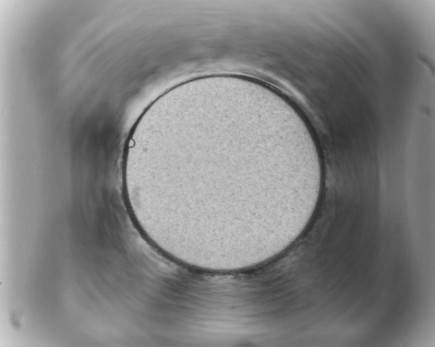 X0000102531512200808291808