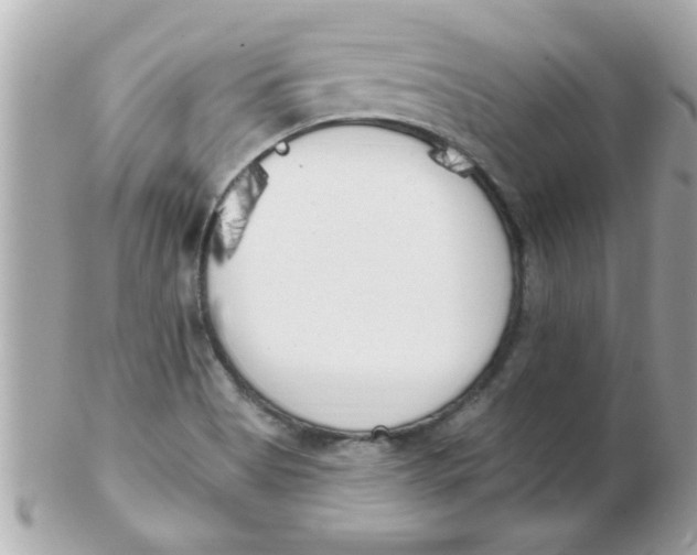 X0000102531513200808291808