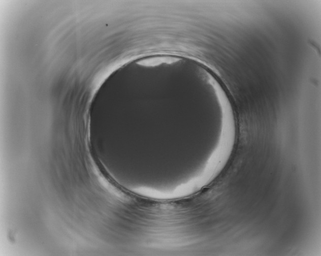 X0000102531515200808291808