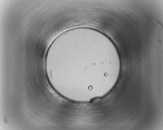 X0000102531516200808291808