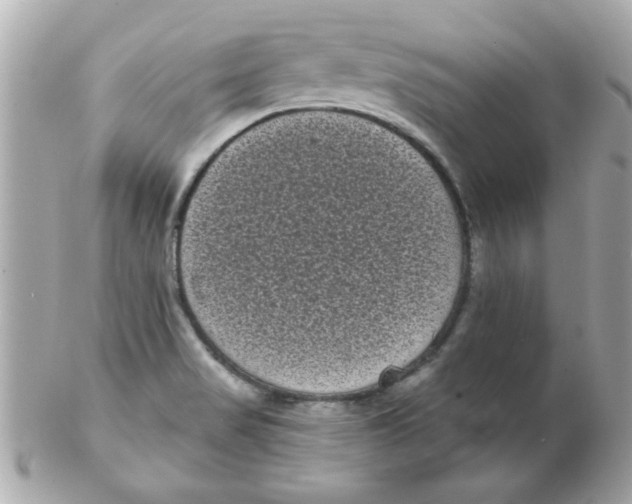 X0000102531517200808291808