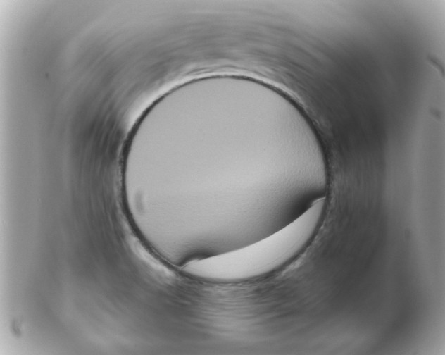 X0000102531518200808291808