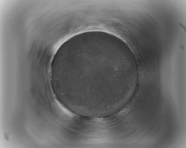 X0000102531519200808291808