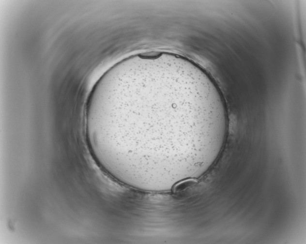 X0000102531520200808291808