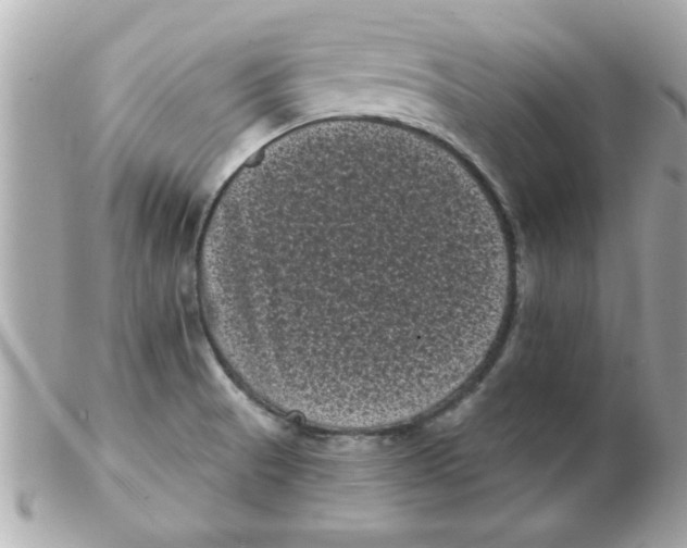 X0000102531521200808291808