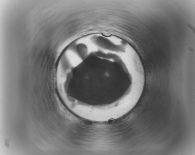 X0000102531522200808291808