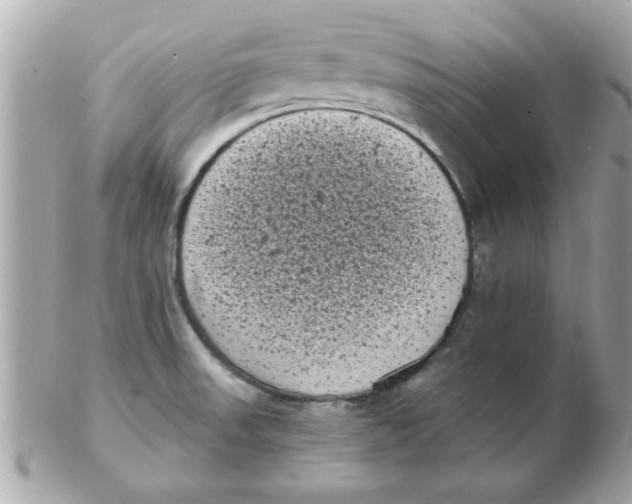 X0000102531523200808291809