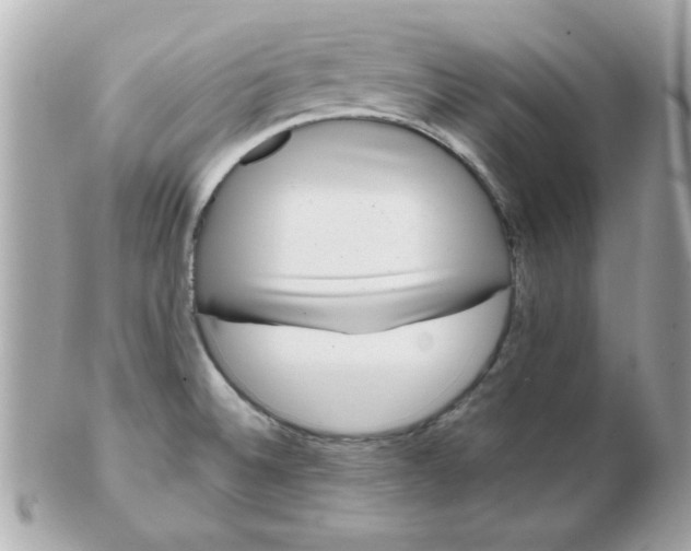 X0000102531524200808291809