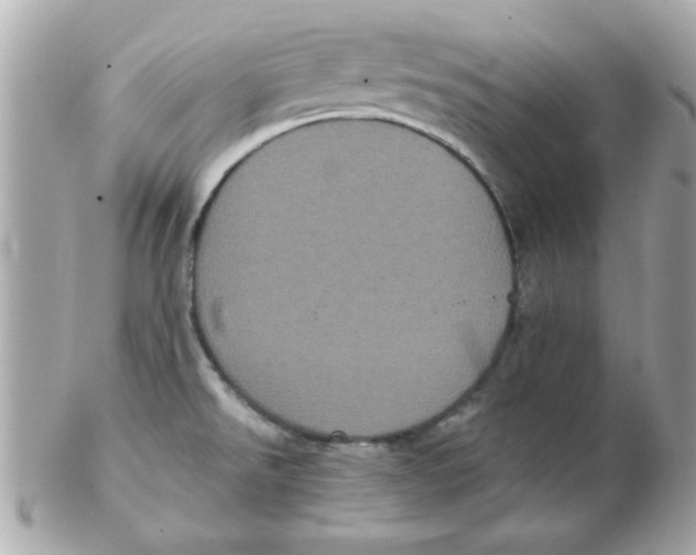 X0000102531526200808291809