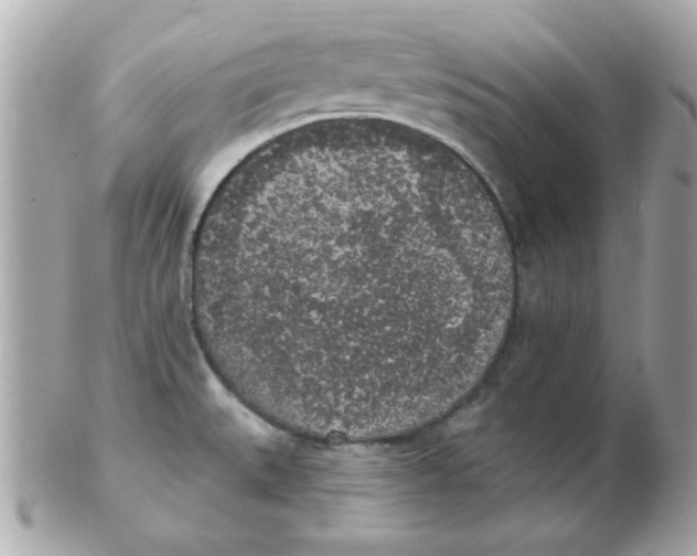 X0000102531527200808291809