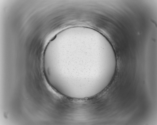 X0000102531528200808291809