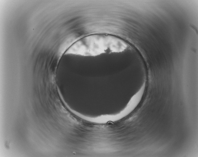 X0000102531529200808291809