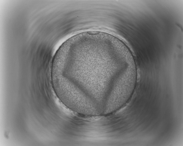 X0000102531530200808291809