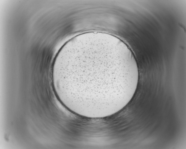 X0000102531531200808291809