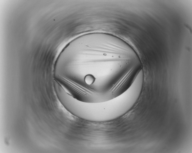 X0000102531532200808291809