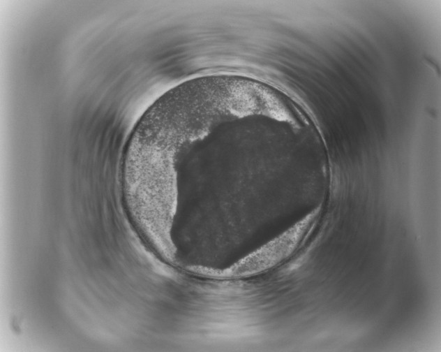 X0000102531533200808291809