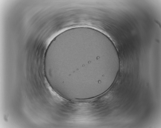 X0000102531534200808291809