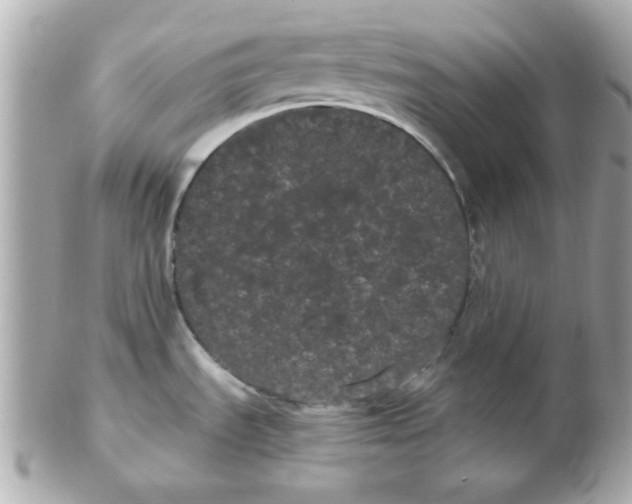 X0000102531535200808291809