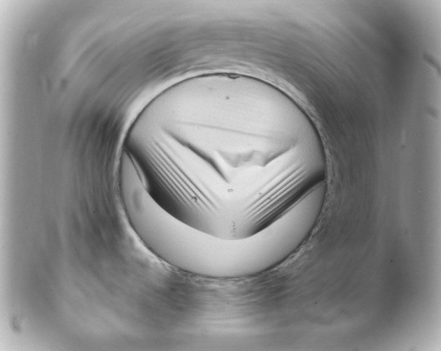 X0000102531536200808291809