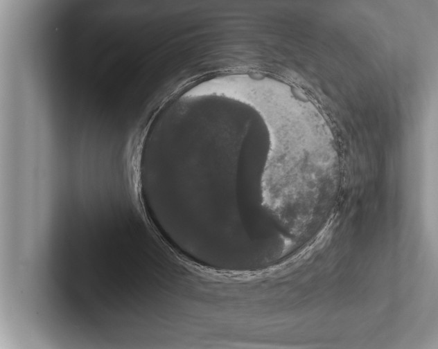 X0000102530002200809051519