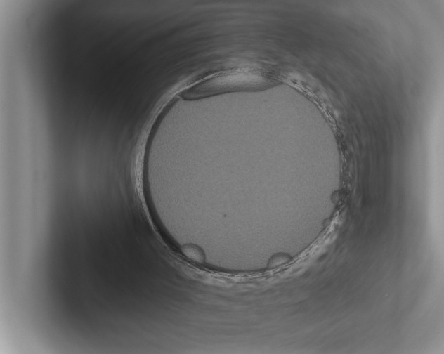 X0000102530003200809051519