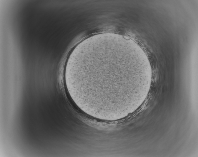 X0000102530004200809051519