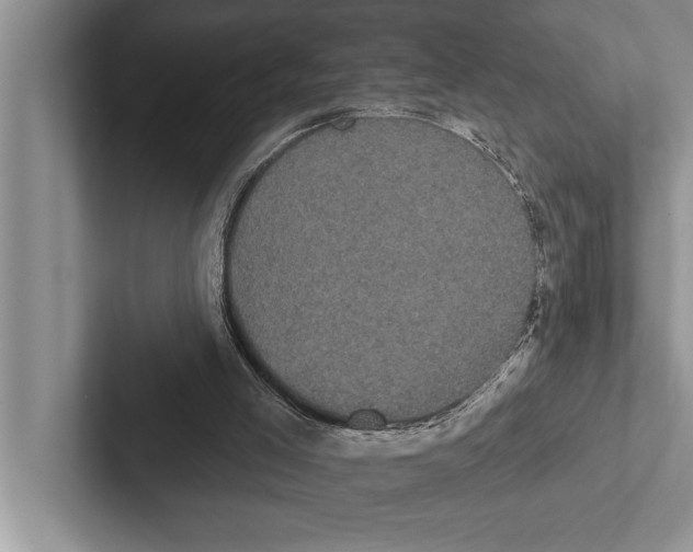 X0000102530005200809051519