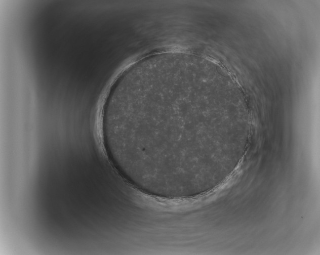 X0000102530006200809051519