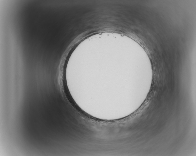 X0000102530007200809051519