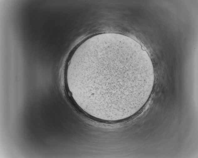 X0000102530008200809051519