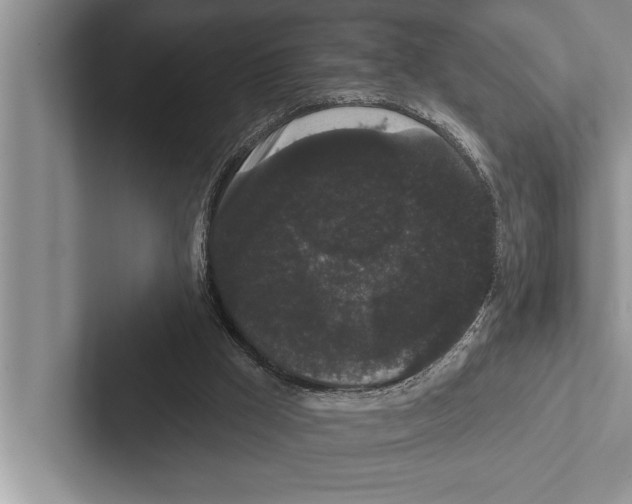 X0000102530009200809051519