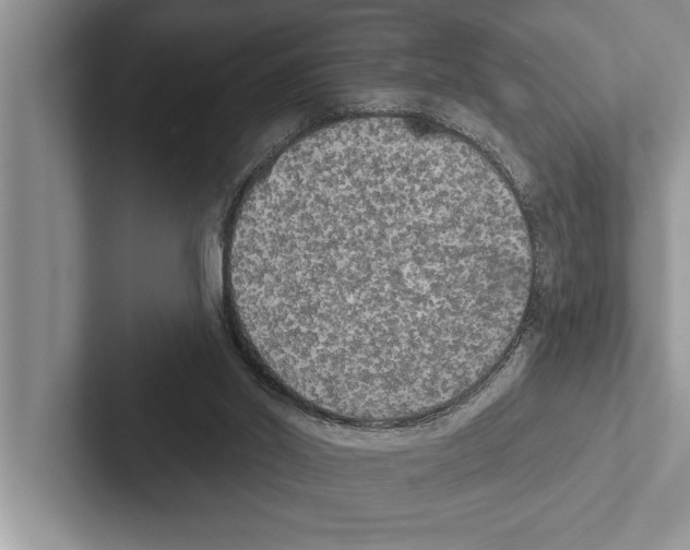 X0000102530014200809051519