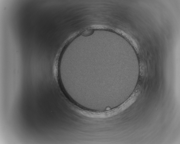X0000102530015200809051519