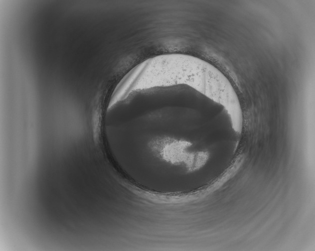 X0000102530018200809051519